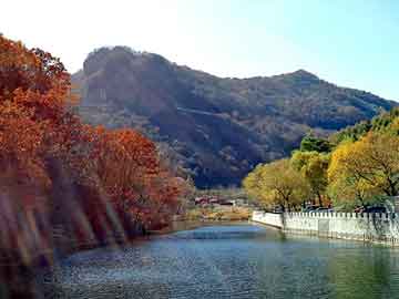 新澳天天开奖资料大全旅游团，仿牌快递